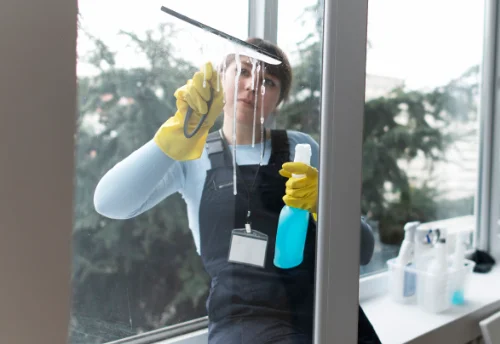Nettoyage de vitres intérieures et extérieures à Erceville